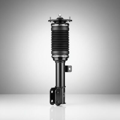 acheter Une année de garantie Audi Air Shock Absorber Suspension à air Absorbeur de choc Parfait pour le modèle de véhicule Audi A8D4 et durable fabrication en ligne